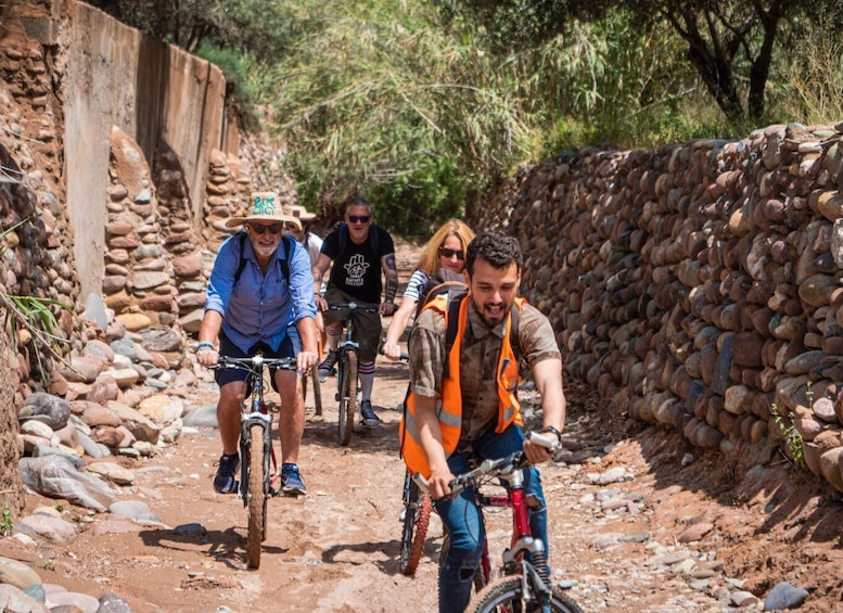 Picture 5 for Activity Marrakech: Cycling Tour in Palm Groove with Local Breakfast