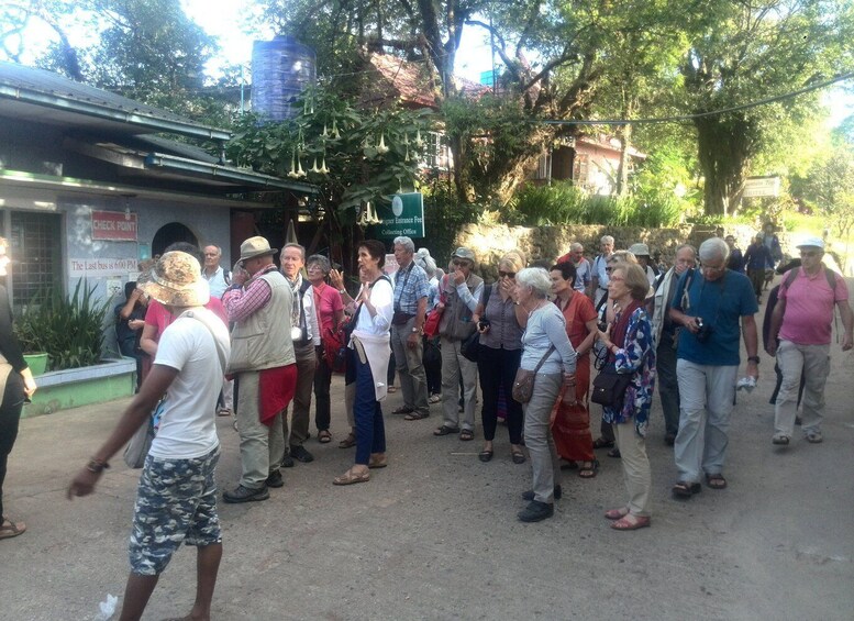 Picture 6 for Activity From Yangon: Full Day Excursion to Golden Rock