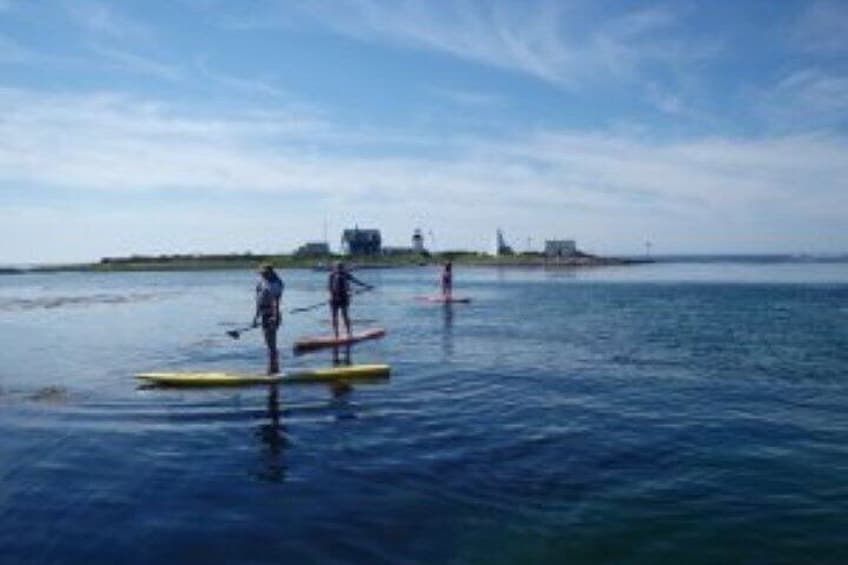 1 Hour Guided SUP/Kayak Tour in Pelican Bay at Fort Myers Beach