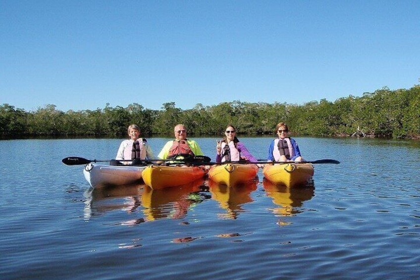 1 Hour Guided SUP/Kayak Tour in Pelican Bay at Fort Myers Beach