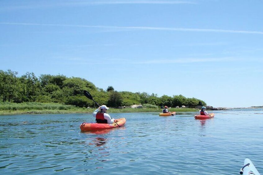 1 Hour Guided SUP/Kayak Tour in Pelican Bay at Fort Myers Beach