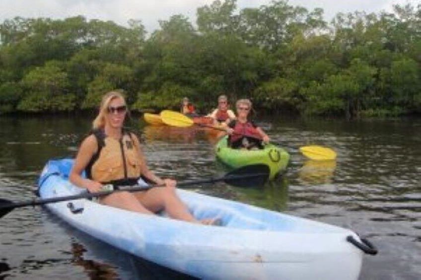 1 Hour Guided SUP/Kayak Tour in Pelican Bay at Fort Myers Beach