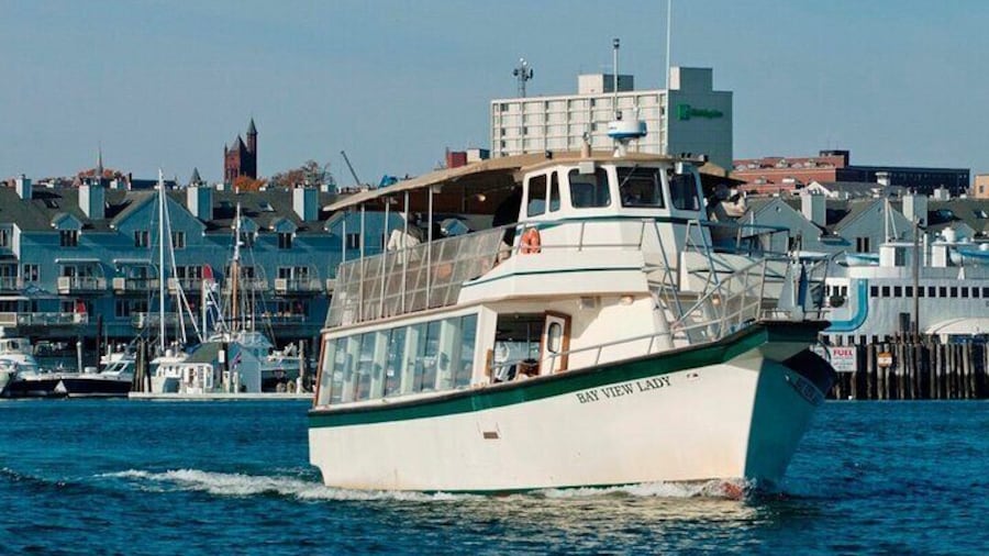 Port City Light Cruise
