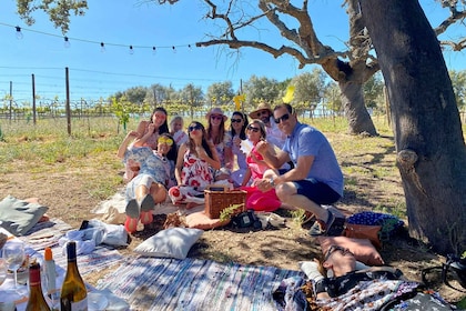 Algarven yksityinen viinitarha-piknik viinin parittelun kanssa