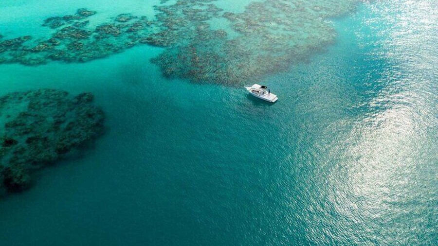 Two Stop Snorkel and Shipwreck from Dockyard