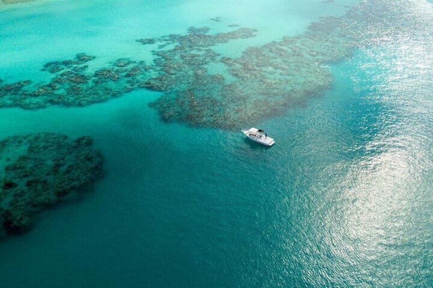 Two Stop Snorkel and Shipwreck from Dockyard