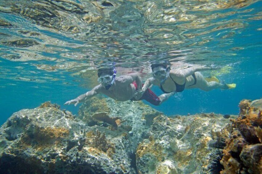 Two Stop Snorkel and Shipwreck from Dockyard