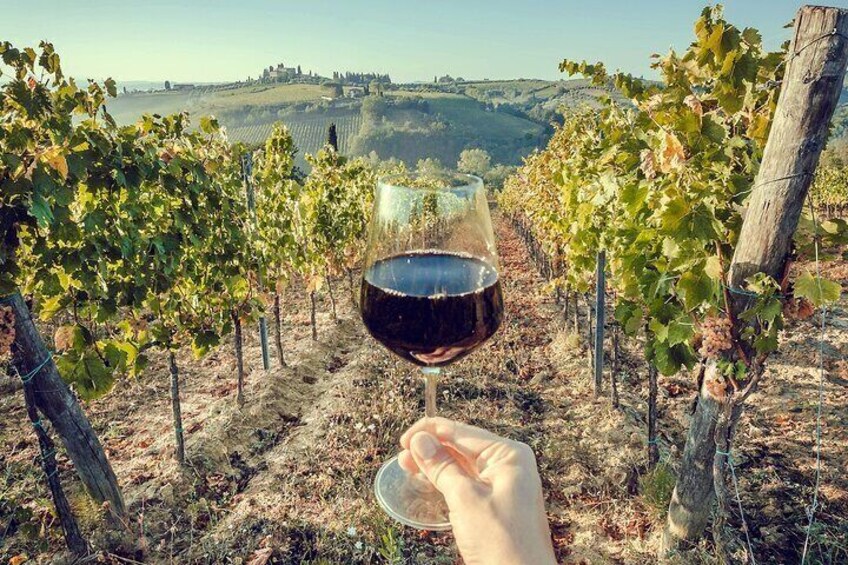San Gimignano, Chianti Road and Wine Tasting 