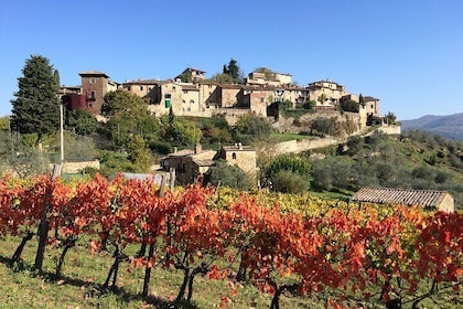 Siena, S. Gimignano, Chianti Road + Villa Strozzi + Wine Tasting