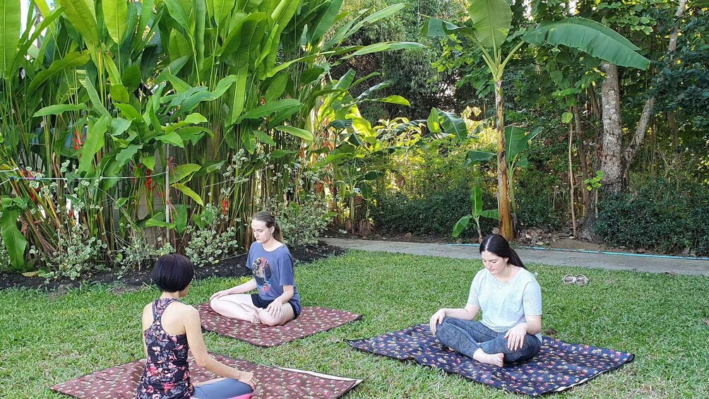 Chiang Mai: 3 Day Meditation, Yoga & Cultural Retreat