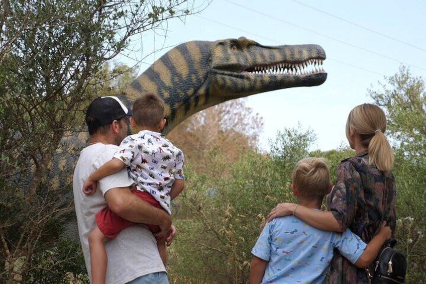 Half Day Tour in the Caves of Hams and Dinosaur Land