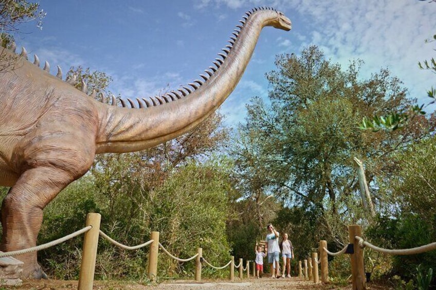 Half Day Tour in the Caves of Hams and Dinosaur Land