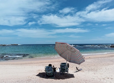 Cabo: Giornata sulla spiaggia nascosta con snorkeling nel Mar di Cortez