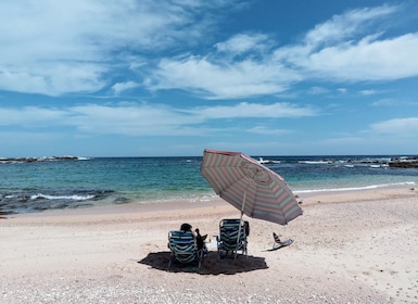 Cabo : Journée plage cachée avec plongée en apnée dans la mer de Cortez