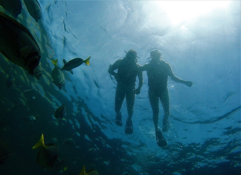 Picture 5 for Activity Cabo: Hidden Beach Day with Snorkeling in the Sea of Cortez