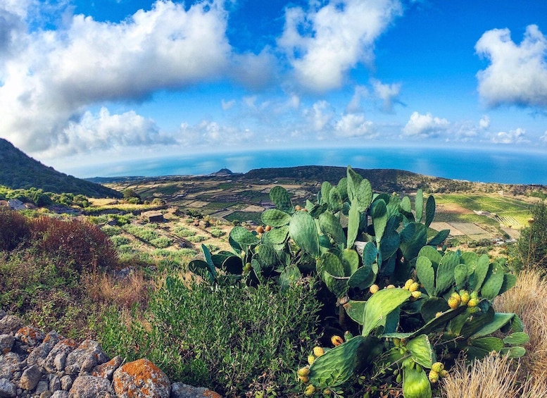 Picture 2 for Activity Pantelleria Island: Pantelleria National Park Hiking Tour