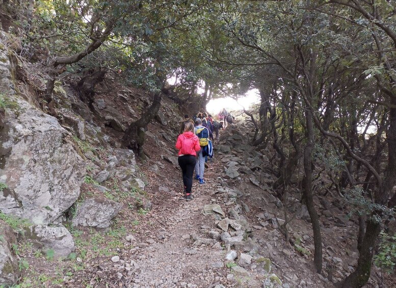 Picture 3 for Activity From Bova: Private Trek to Aspromonte National Park