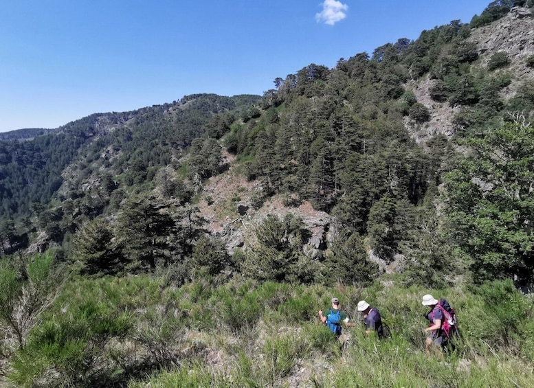 Picture 1 for Activity Aspromonte National Park: Private Trek to the Maesano Falls