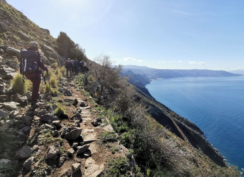 Palmi: Guided Tracciolino Trail Trek