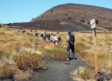 Etna: Privat fottur til kratrene på nordskråningen