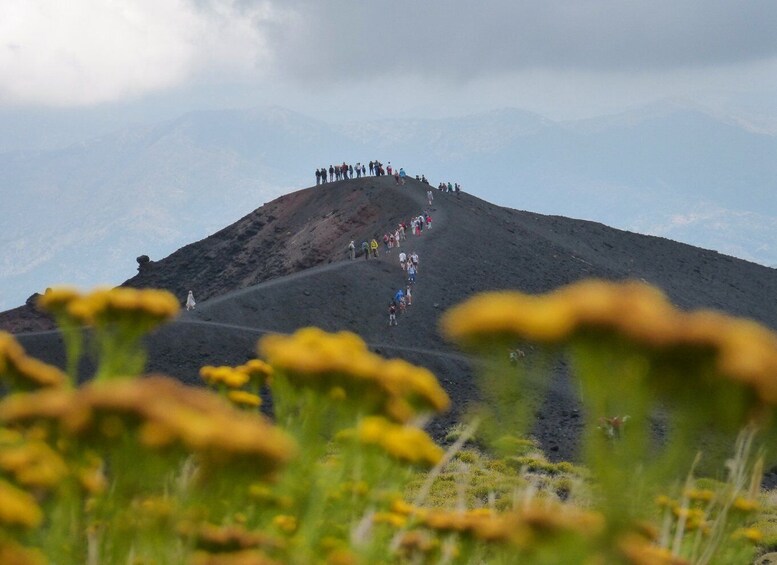 Picture 6 for Activity Mount Etna: Private Trek on the North Slope Craters