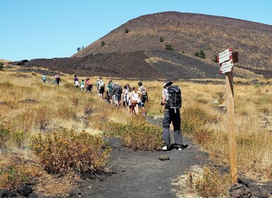 埃特纳山：北坡火山口的私人徒步旅行