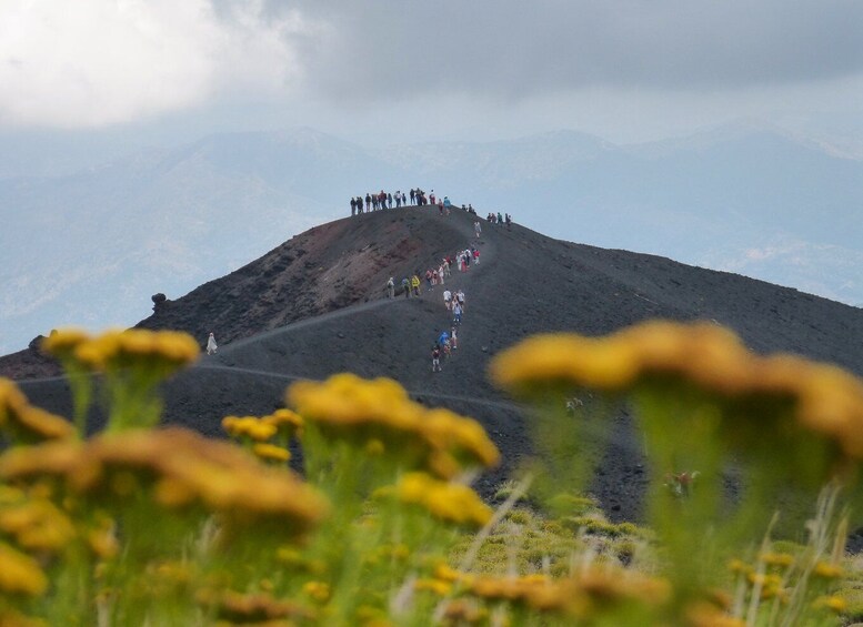 Sicily: Mount Etna's North Slope Craters Guided Hike Tour