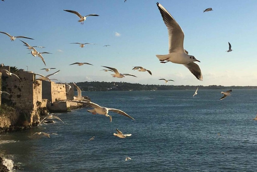 Picture 1 for Activity Siracusa: Ortygia Island Boat Tour with Grotto Visit