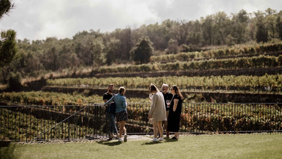 Linguaglossa: Wine Tasting Experience at Etna Nord