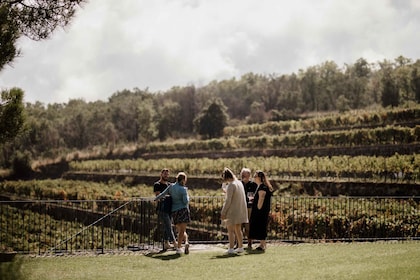 Linguaglossa: Vinprovningsupplevelse på Etna Nord