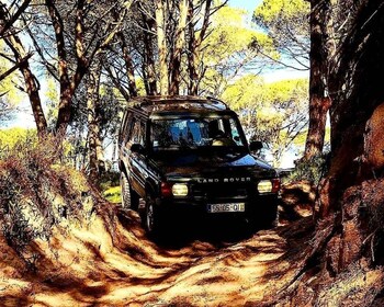 Depuis Cesarò : Excursion d'une demi-journée en 4x4 dans le parc des Nebrod...