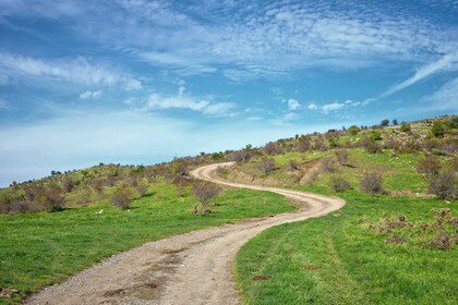 Cesarò : Excursion d'une journée dans le parc Nebrodi en 4x4