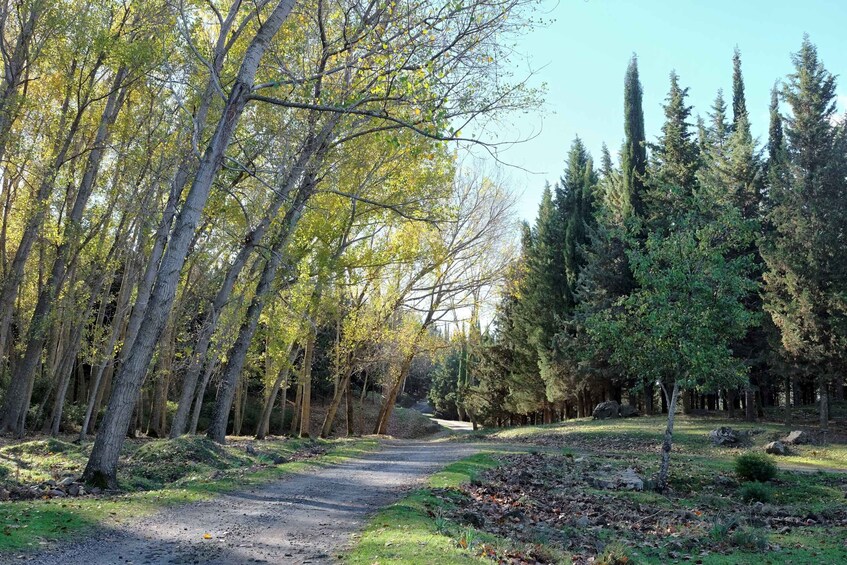 Picture 1 for Activity Cesarò: Full Day Tour of Nebrodi Park in a 4x4