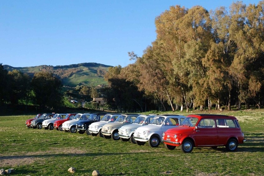 Picture 4 for Activity From Catania: Etna Tour in a Vintage Car