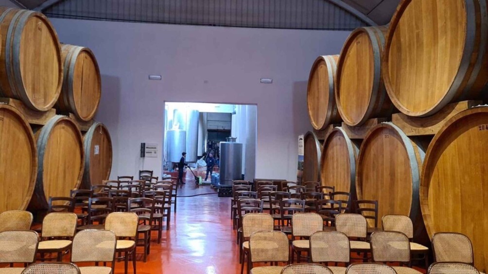 Picture 3 for Activity Marsala: Winery Tour with Wine Tasting and Local Products