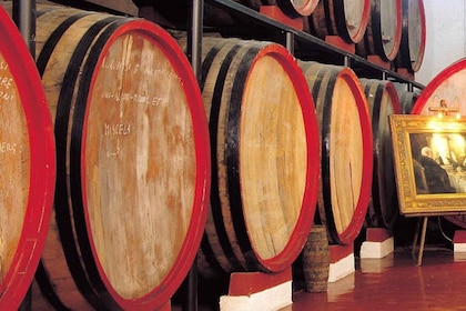 Marsala : visite d'un domaine viticole avec dégustation de vins et de produ...