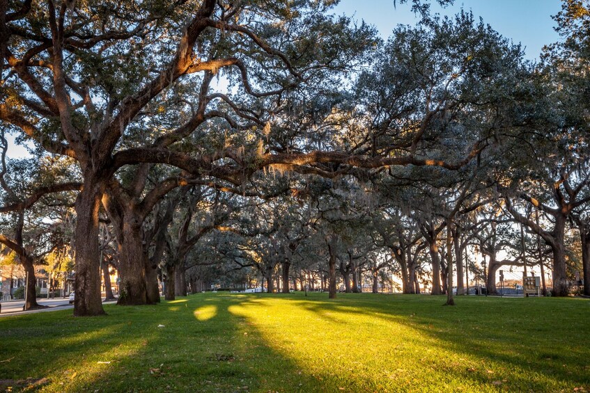 Historical Savannah Self-Guided Walking Tour Bundle