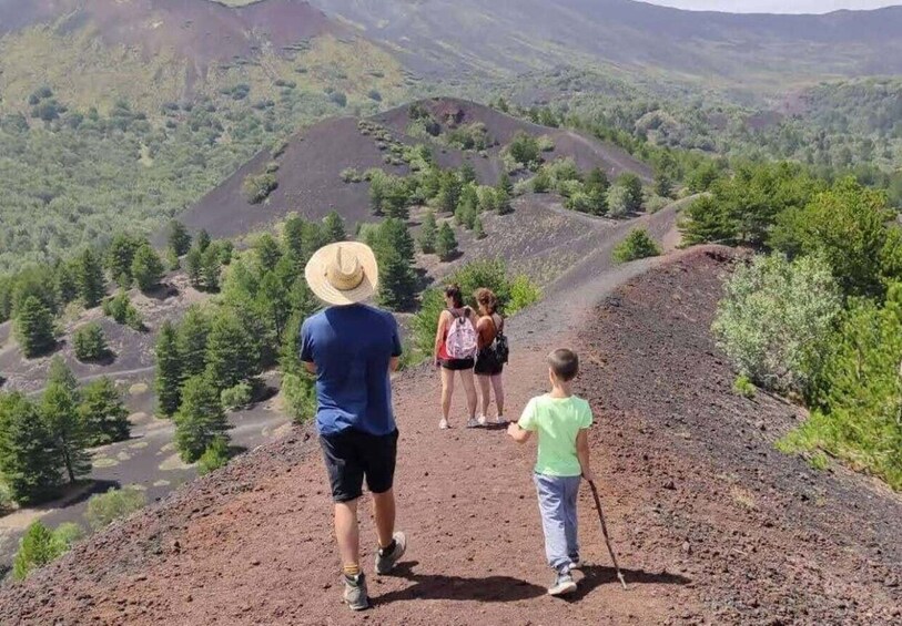 Picture 1 for Activity From Catania: Guided Hike on Etna, wines and nibbles