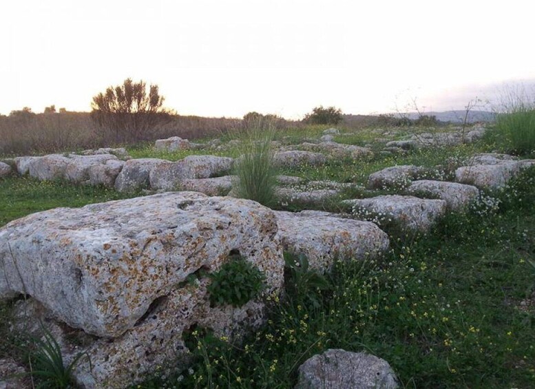 Picture 1 for Activity From Ferla: Necropolis of Pantalica Guided Day Trip