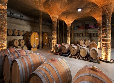 Lipari: Guidad tur till vingård och vinprovning