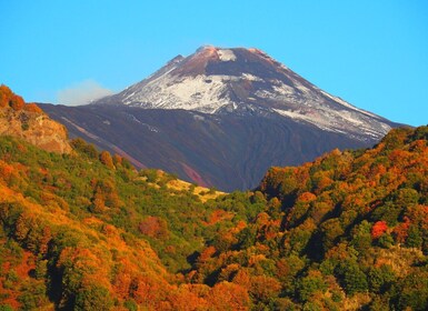 Etna: visita guiada a los cráteres de la cumbre - North Slope