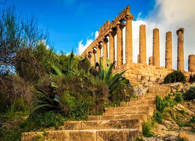 Picture 3 for Activity Agrigento: Valley of the Temples Skip The Line & Guided Tour