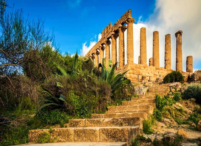 Picture 3 for Activity Agrigento: Valley of the Temples Skip The Line & Guided Tour