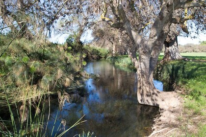 Syrakus: Geführte Wanderung im Ciane River Nature Reserve