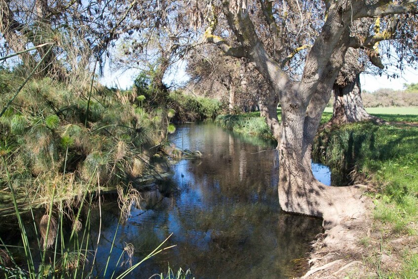 Syracuse: Ciane River Nature Reserve Guided Trek