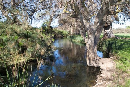 Syracuse: Ciane River naturreservat - guidet vandretur