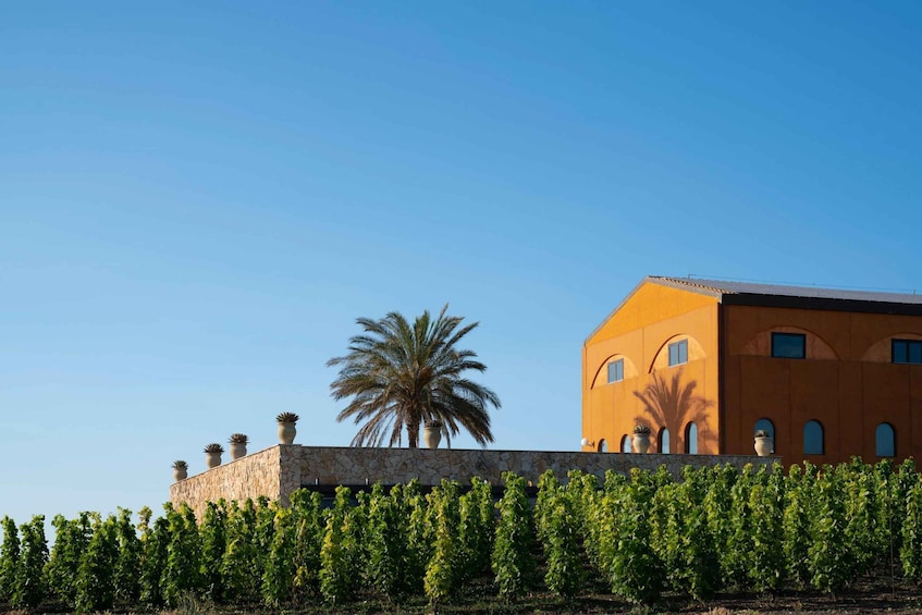 Picture 6 for Activity Wine Tasting and Typical Tastings in the Val di Noto
