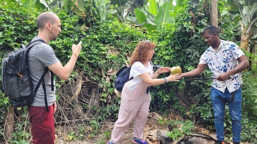 Banana Plantation / Black Sand Beach Experience