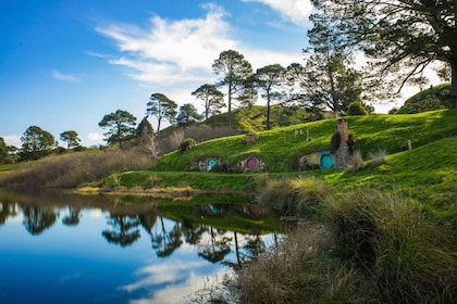 Vanuit Auckland: Hobbiton filmset Dagtocht voor kleine groepen