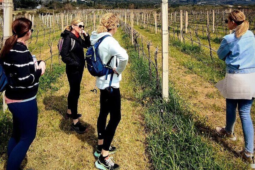 Rural Biking & Wine Tasting Tour in Dubrovnik